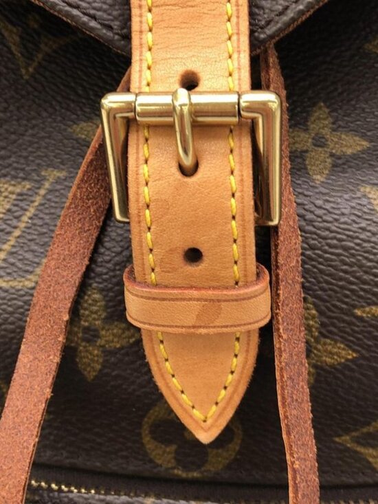 Louis Vuitton Monogram Montsouris MM Backpack main image 8